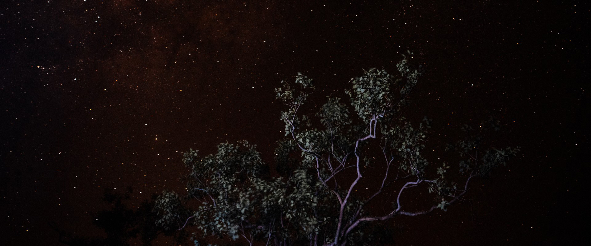 About-Us---Banner-Image-(1)